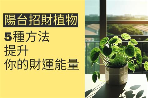 財位 植物|前陽台招財植物大全！15 種適合陽台的植物助你財源。